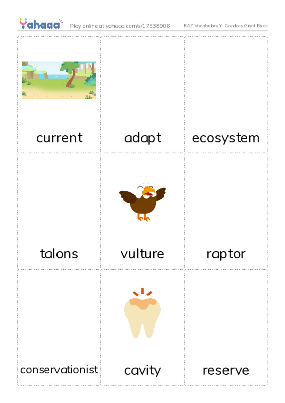 RAZ Vocabulary Y: Condors Giant Birds PDF flaschards with images