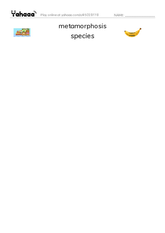 RAZ Vocabulary Y: Goliath Beetles Giant Insects PDF three columns match words