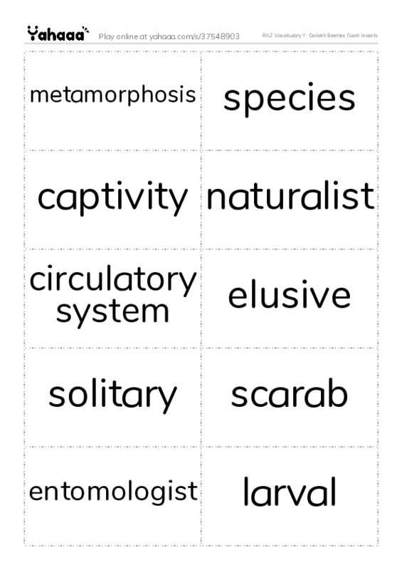 RAZ Vocabulary Y: Goliath Beetles Giant Insects PDF two columns flashcards