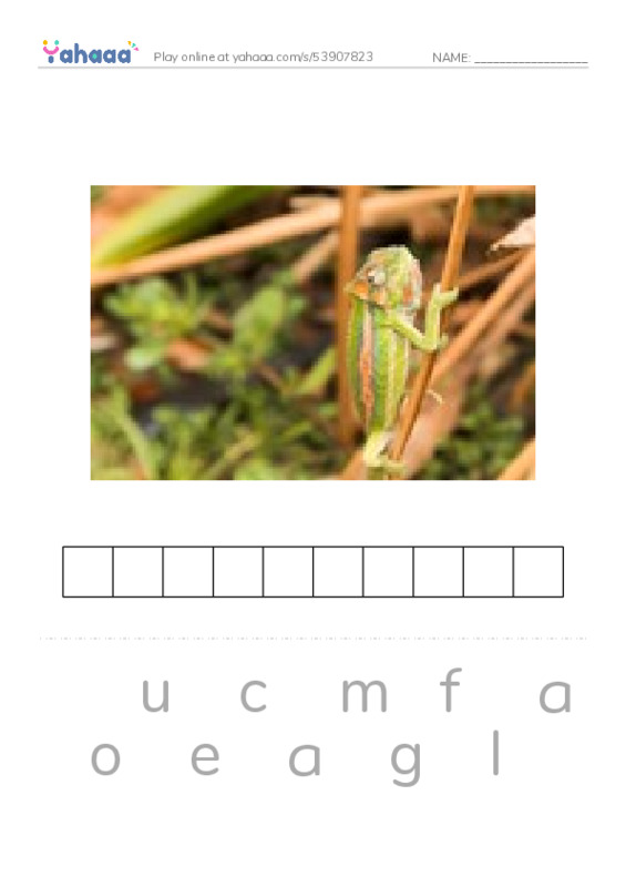 RAZ Vocabulary Y: Robin Hood Wins the Sheriffs Golden Arrow PDF word puzzles worksheet