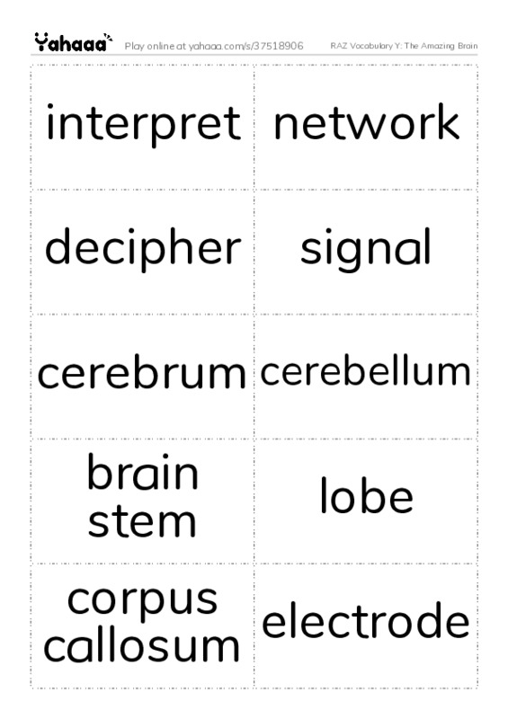 RAZ Vocabulary Y: The Amazing Brain PDF two columns flashcards