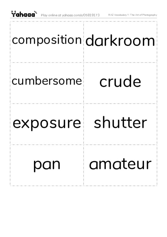 RAZ Vocabulary Y: The Art of Photography PDF two columns flashcards