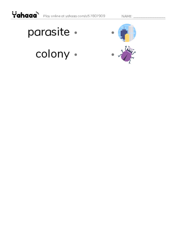 RAZ Vocabulary Y: The Case of the Disappearing Honeybees PDF link match words worksheet