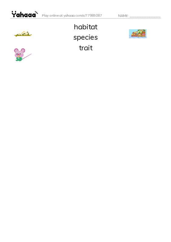 RAZ Vocabulary Z: Genetics at Work PDF three columns match words