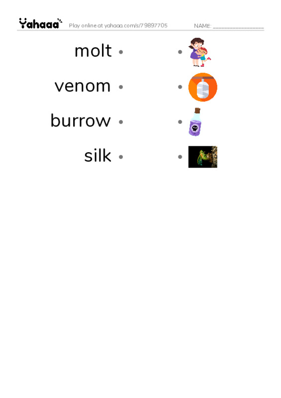 RAZ Vocabulary Z: Goliath BirdEating Spiders Giant Arachnids PDF link match words worksheet