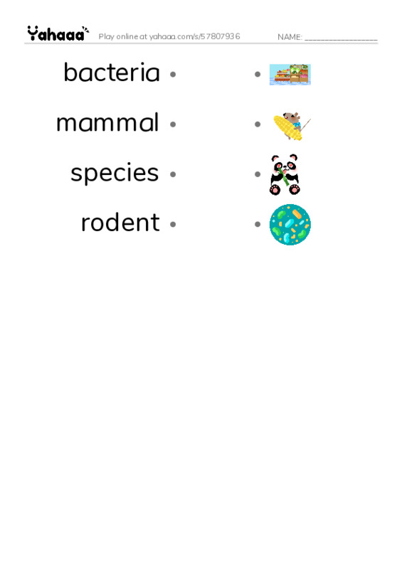 RAZ Vocabulary Z: Prairies Alive PDF link match words worksheet