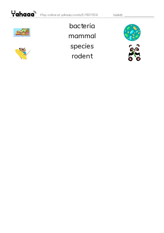 RAZ Vocabulary Z: Prairies Alive PDF three columns match words