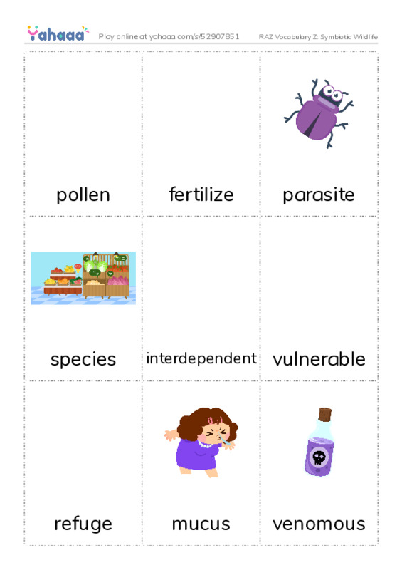 RAZ Vocabulary Z: Symbiotic Wildlife PDF flaschards with images