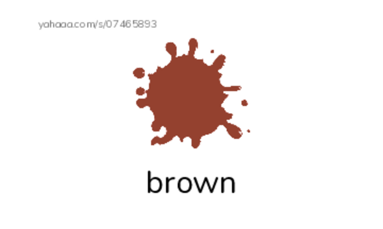 Let's GO 4: Unit 6 Eye color PDF index cards with images