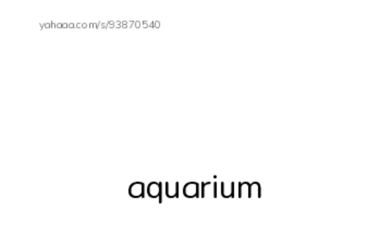 Let's GO 6: Unit 2 At the Aquarium PDF index cards with images