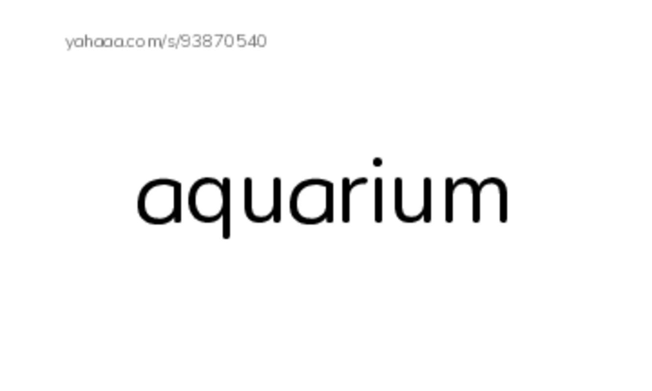 Let's GO 6: Unit 2 At the Aquarium PDF index cards word only
