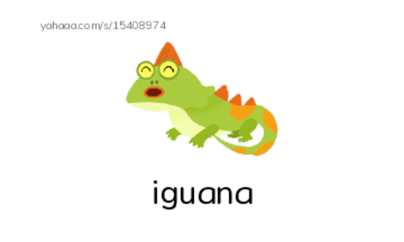 a b t c i PDF index cards with images