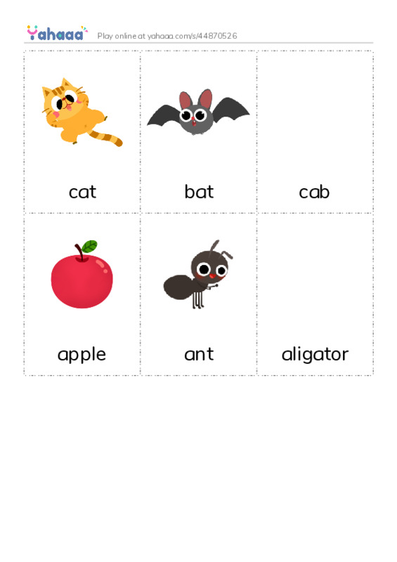  PDF flaschards with images