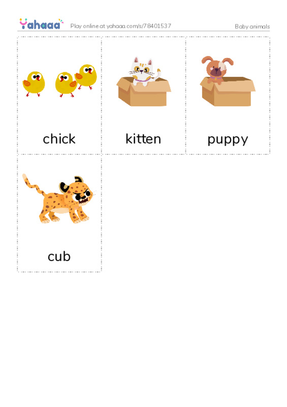 Baby animals PDF flaschards with images