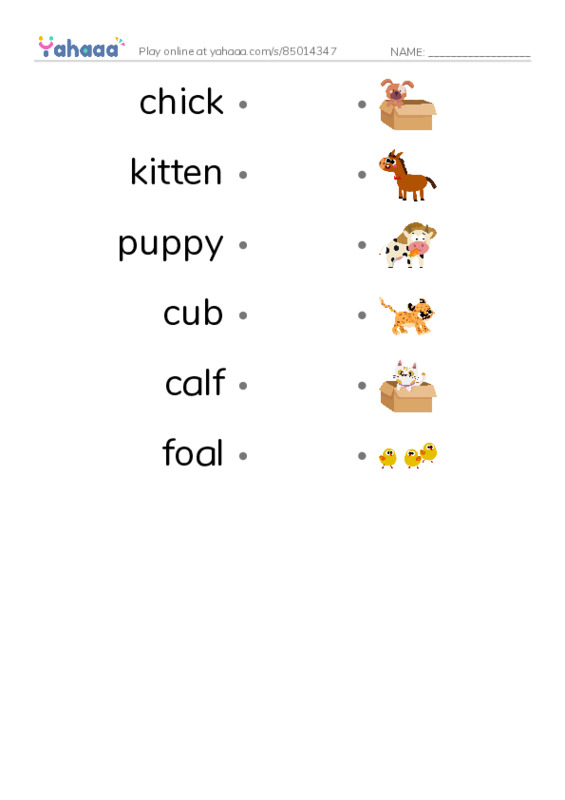 Baby animals PDF link match words worksheet