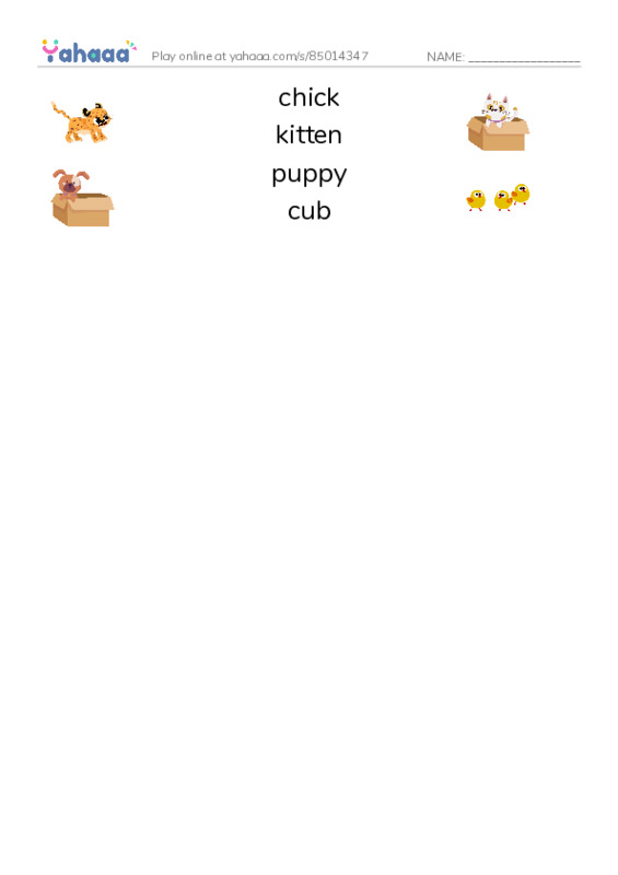 Baby animals PDF three columns match words