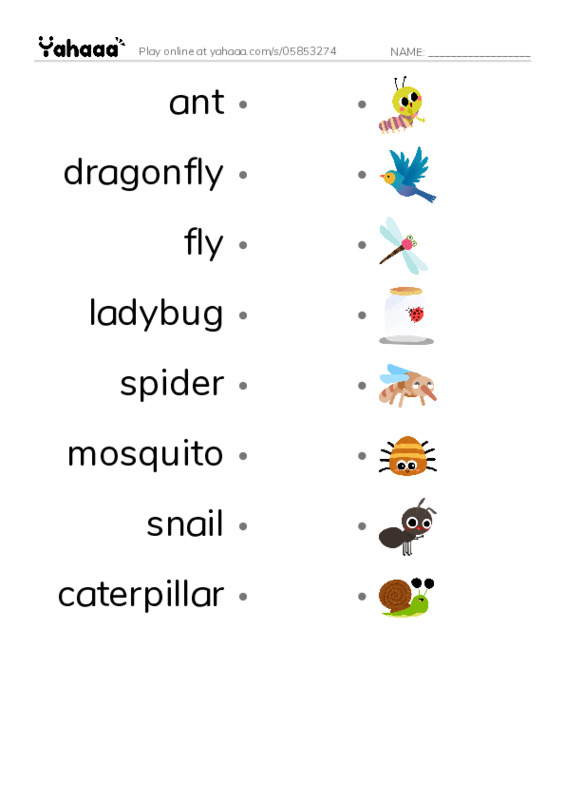 insects PDF link match words worksheet