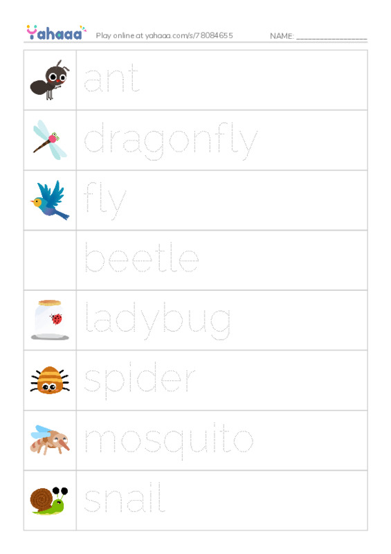 insects PDF one column image words