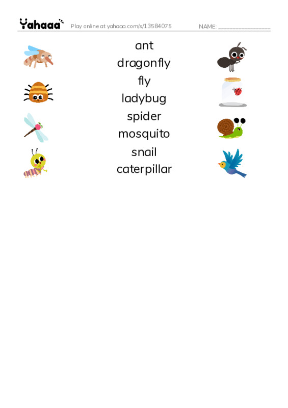 insects PDF three columns match words