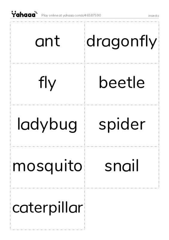 insects PDF two columns flashcards