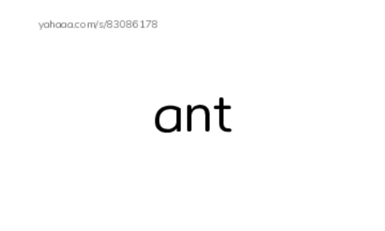 insects PDF index cards word only