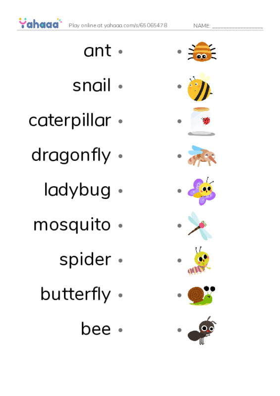 insects PDF link match words worksheet