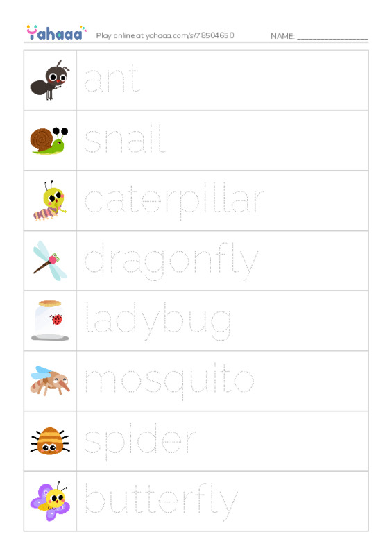 insects PDF one column image words