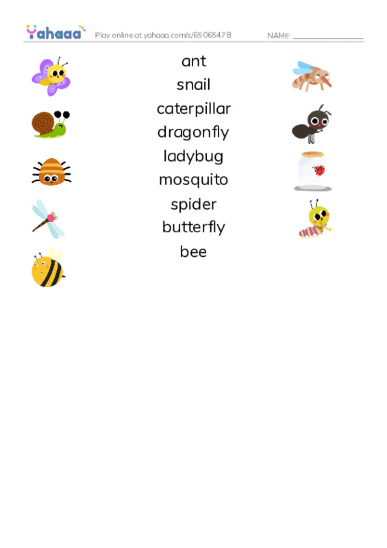 insects PDF three columns match words