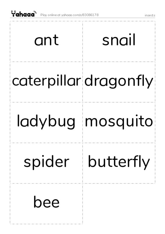 insects PDF two columns flashcards