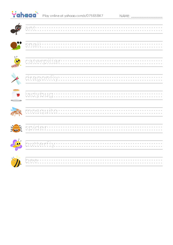 insects PDF write between the lines worksheet