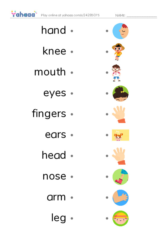 Body parts PDF link match words worksheet