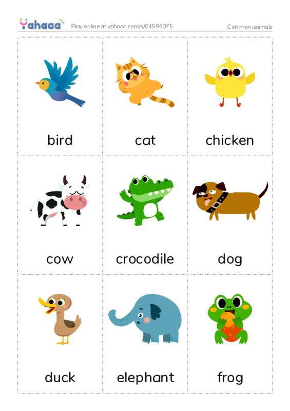 Common animals PDF flaschards with images