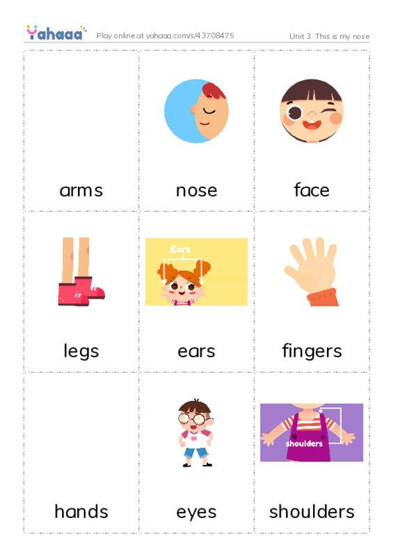 Unit 3: This is my nose PDF flaschards with images