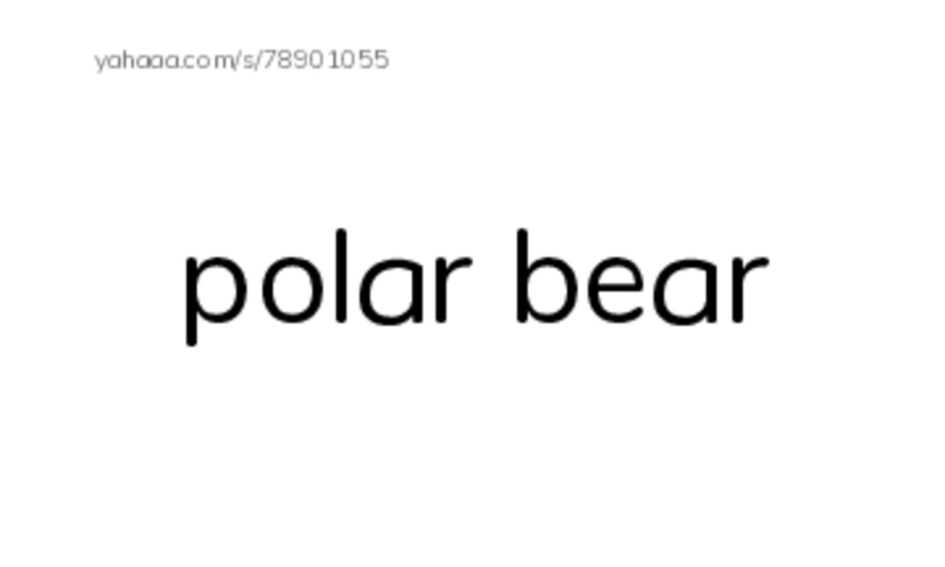 Polar animals  PDF index cards word only