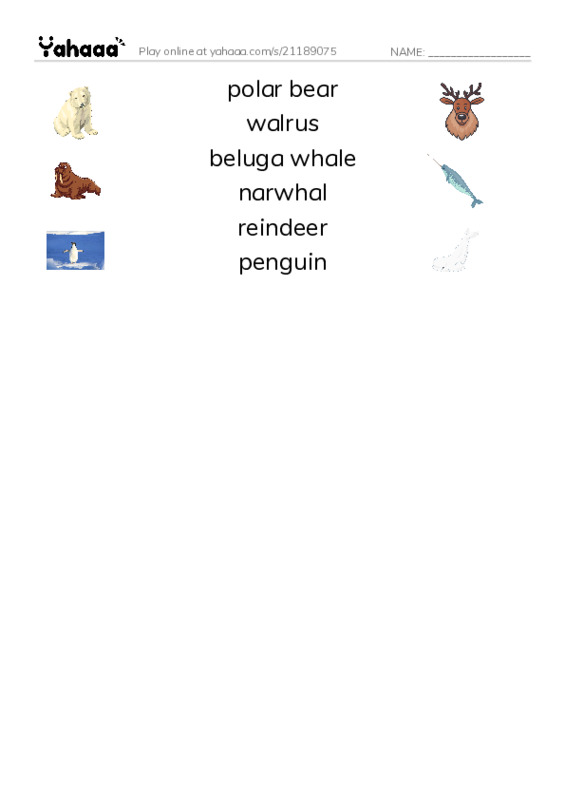 Polar animals  PDF three columns match words