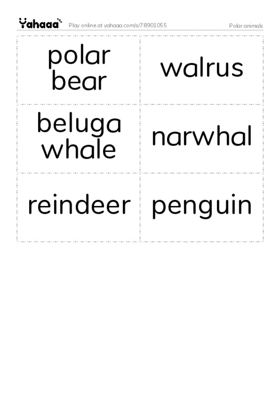 Polar animals  PDF two columns flashcards