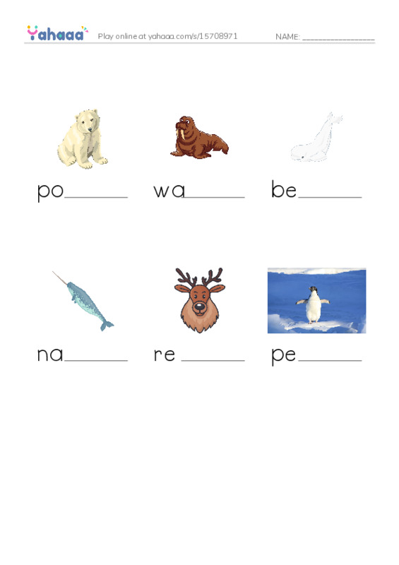 Polar animals  PDF worksheet to fill in words gaps