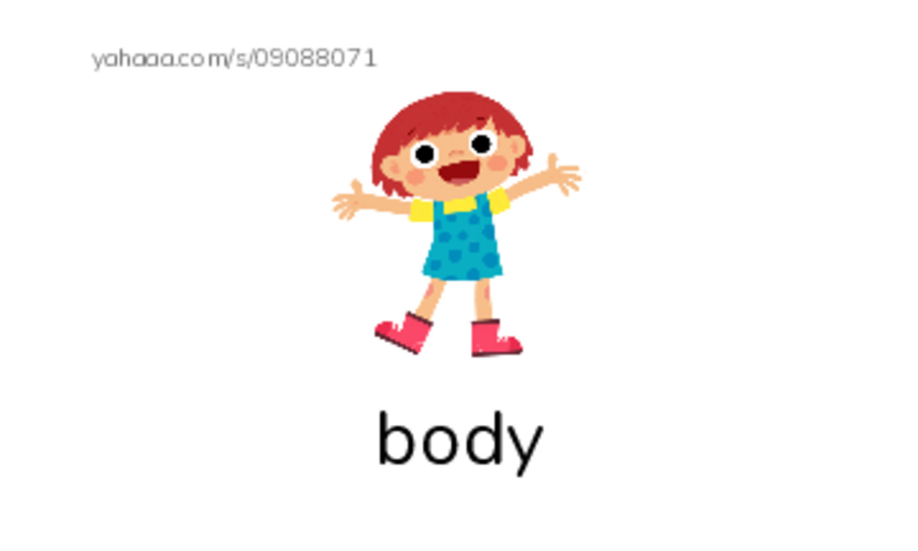 Body Parts PDF index cards with images