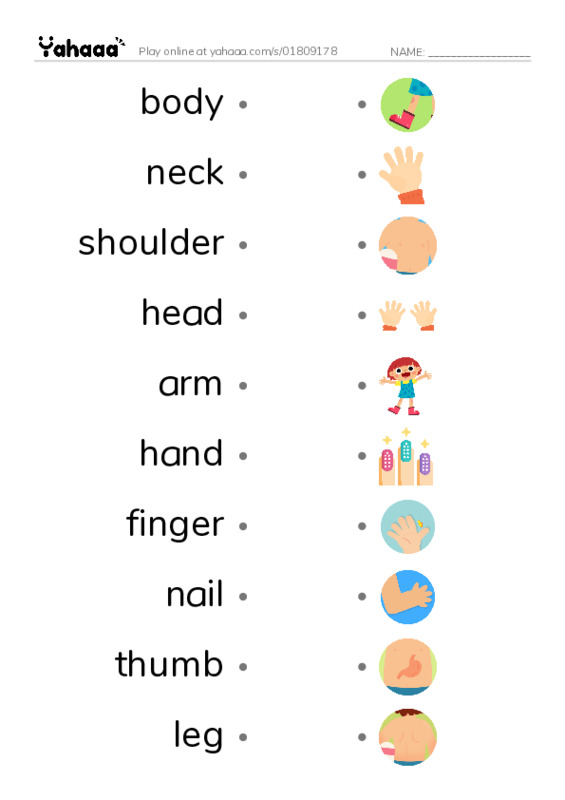 Body Parts PDF link match words worksheet