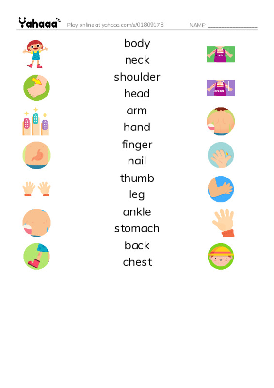 Body Parts PDF three columns match words