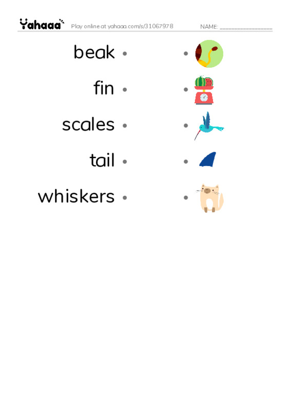  PDF link match words worksheet