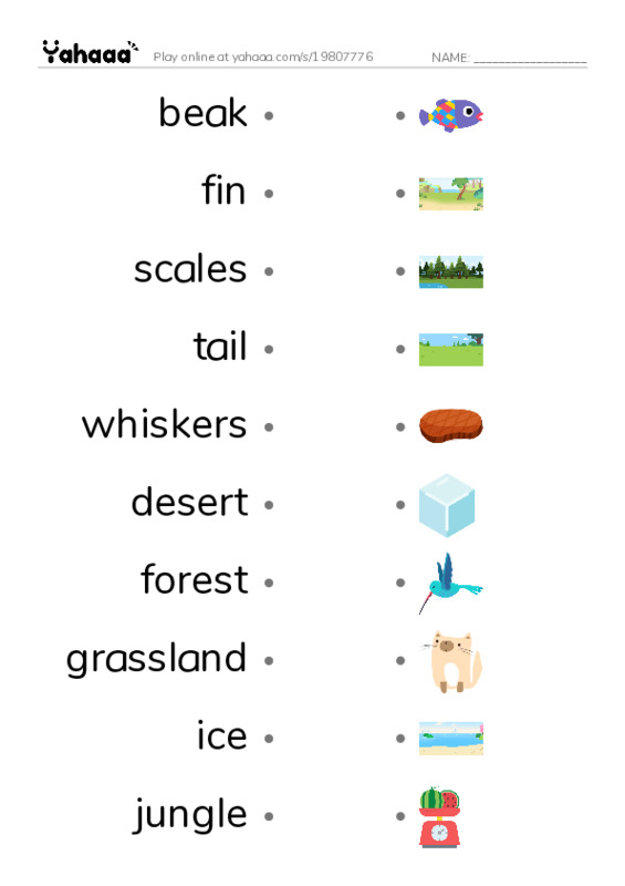  PDF link match words worksheet