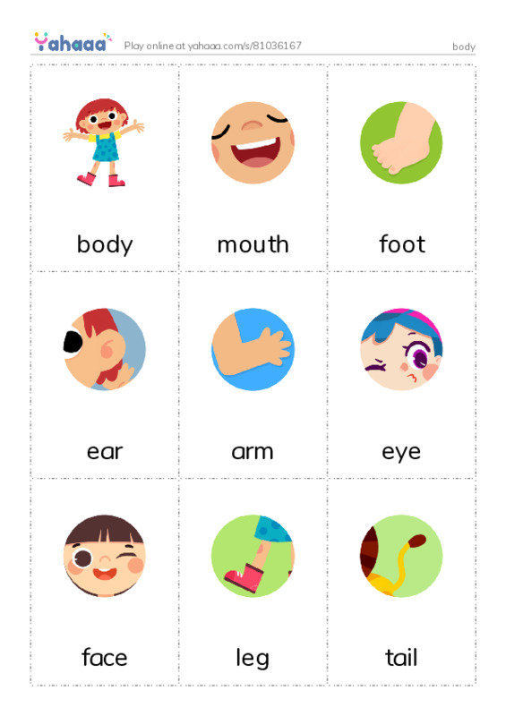 Picture flashcards worksheet for body