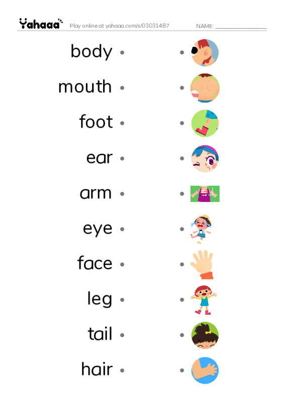 Draw a line to match worksheet for body