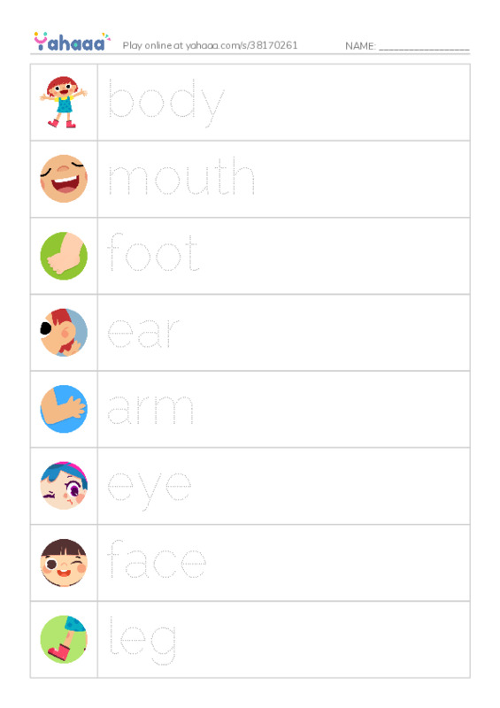 Picture and word rows worksheet for body