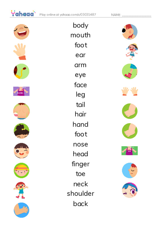 Match both sides worksheet for body