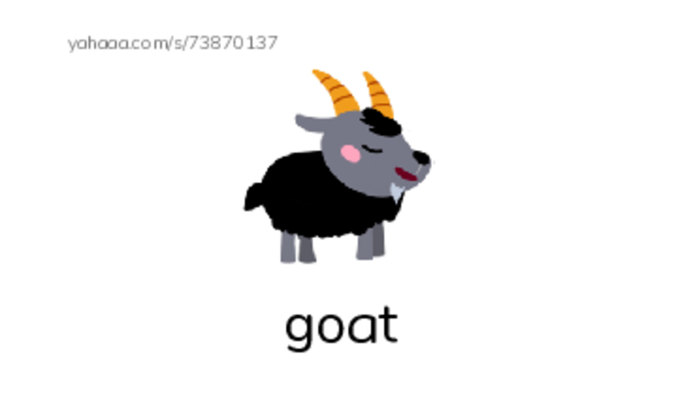 Index cards with pictures worksheet for goat, coat, foam and 5 more