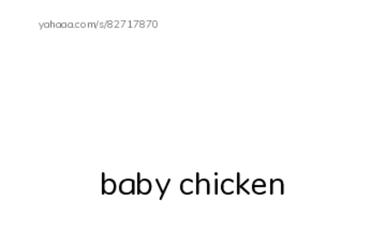 Index cards with pictures worksheet for Chicken Licken