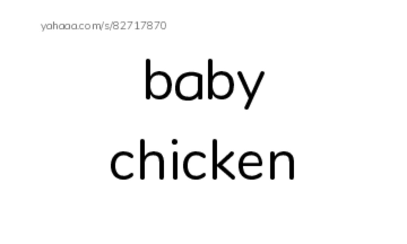 Index cards, words only worksheet for Chicken Licken