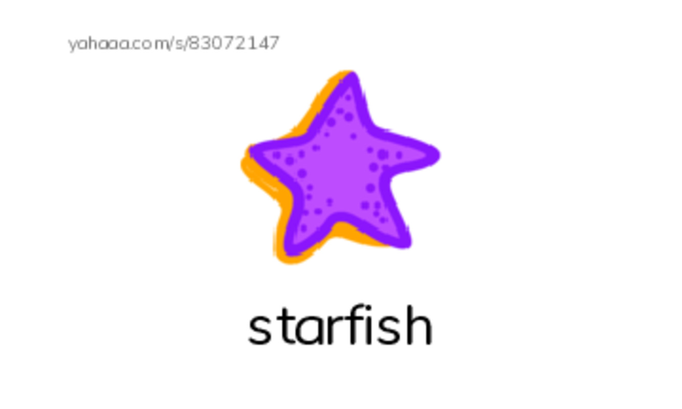 Index cards with pictures worksheet for 1 kl Unit 6 - Sea animals